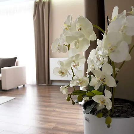 Wilga Park Appartement *